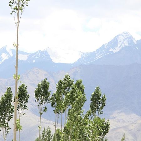 Hotel Kasdar Ladakh Лех Екстер'єр фото